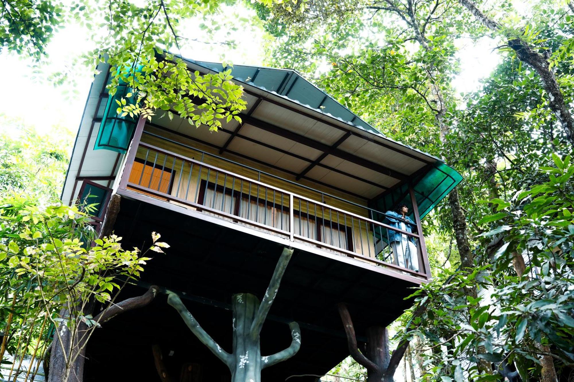 Space Rock Resort Kalpatta Extérieur photo
